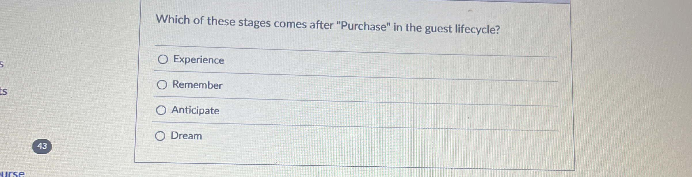 Which of these stages comes after "Purchase" in