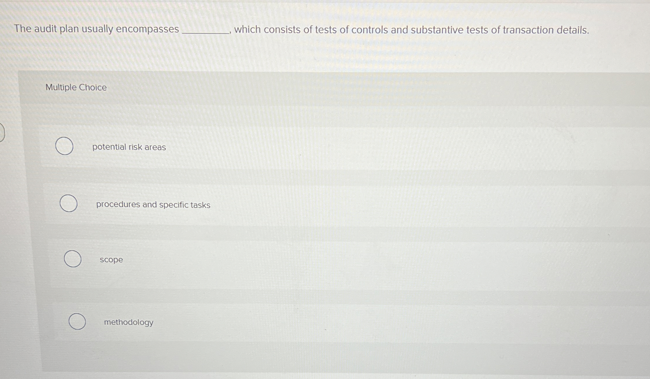 The audit plan usually encompasses which consists