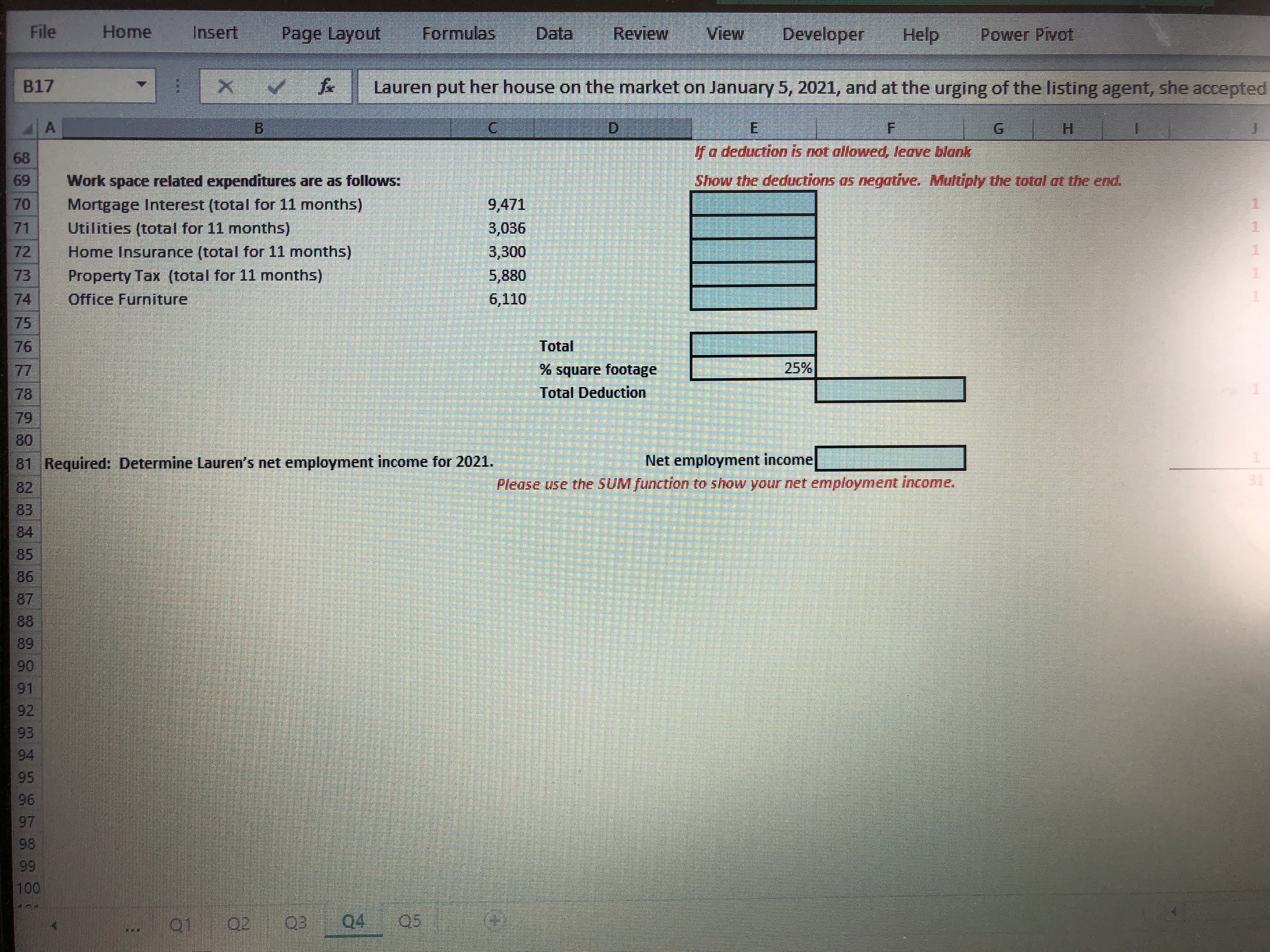 File Home Insert Page Layout Formulas Data Review