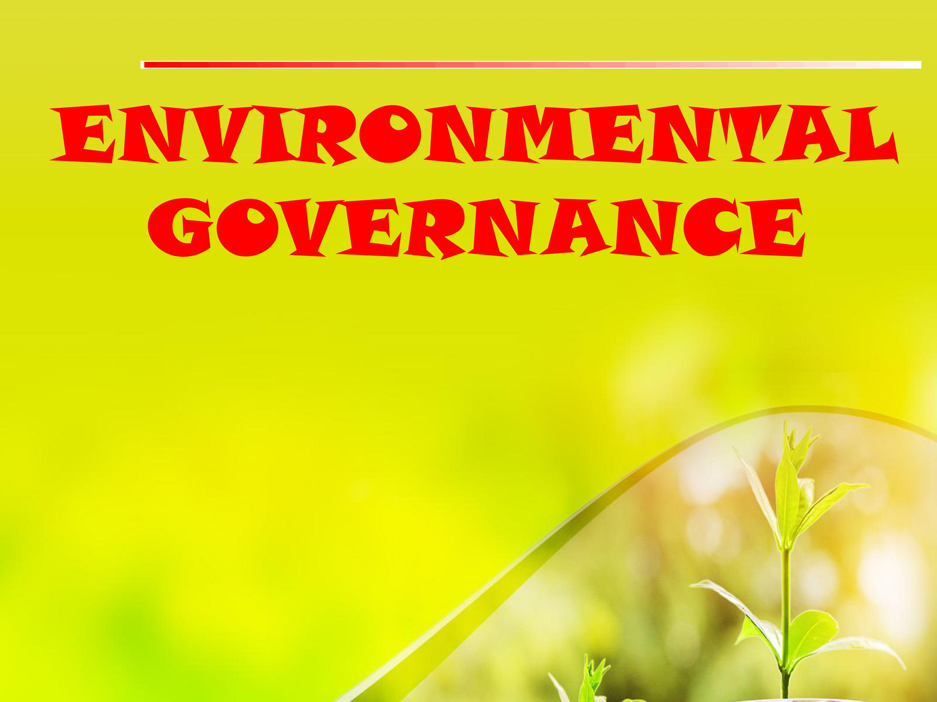 Make a reflection paper about the Environmental