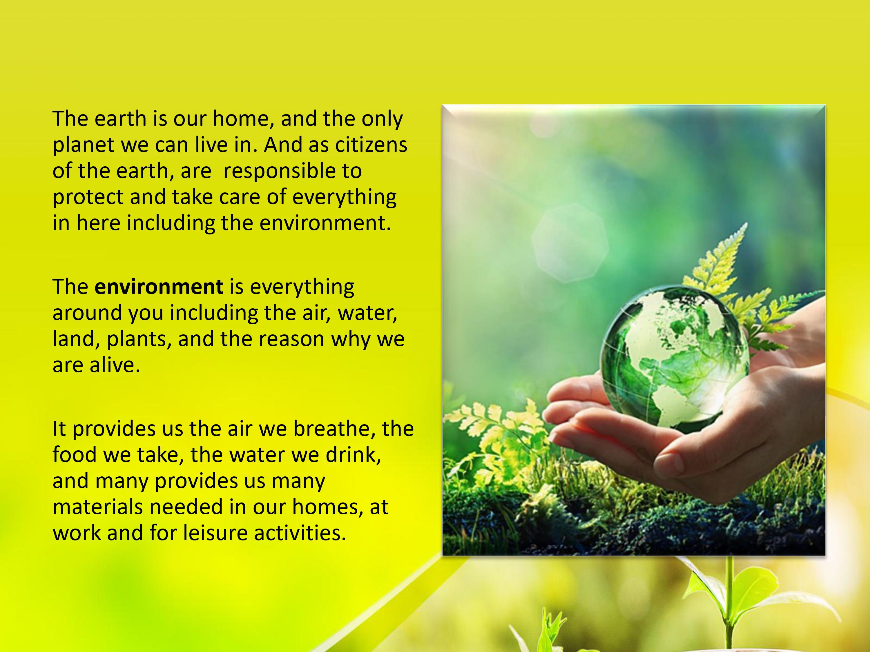 Make a reflection paper about the Environmental