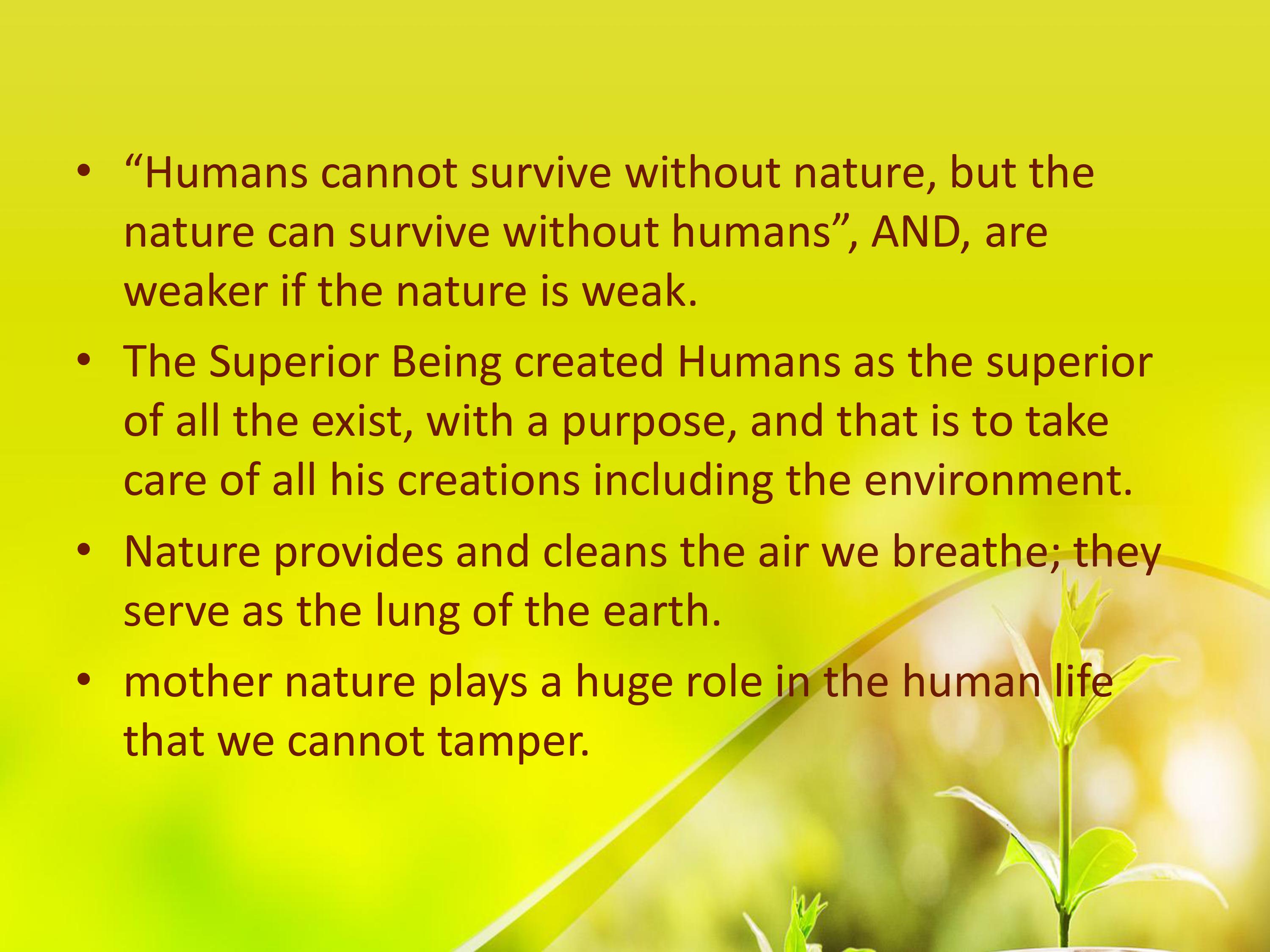 Make a reflection paper about the Environmental