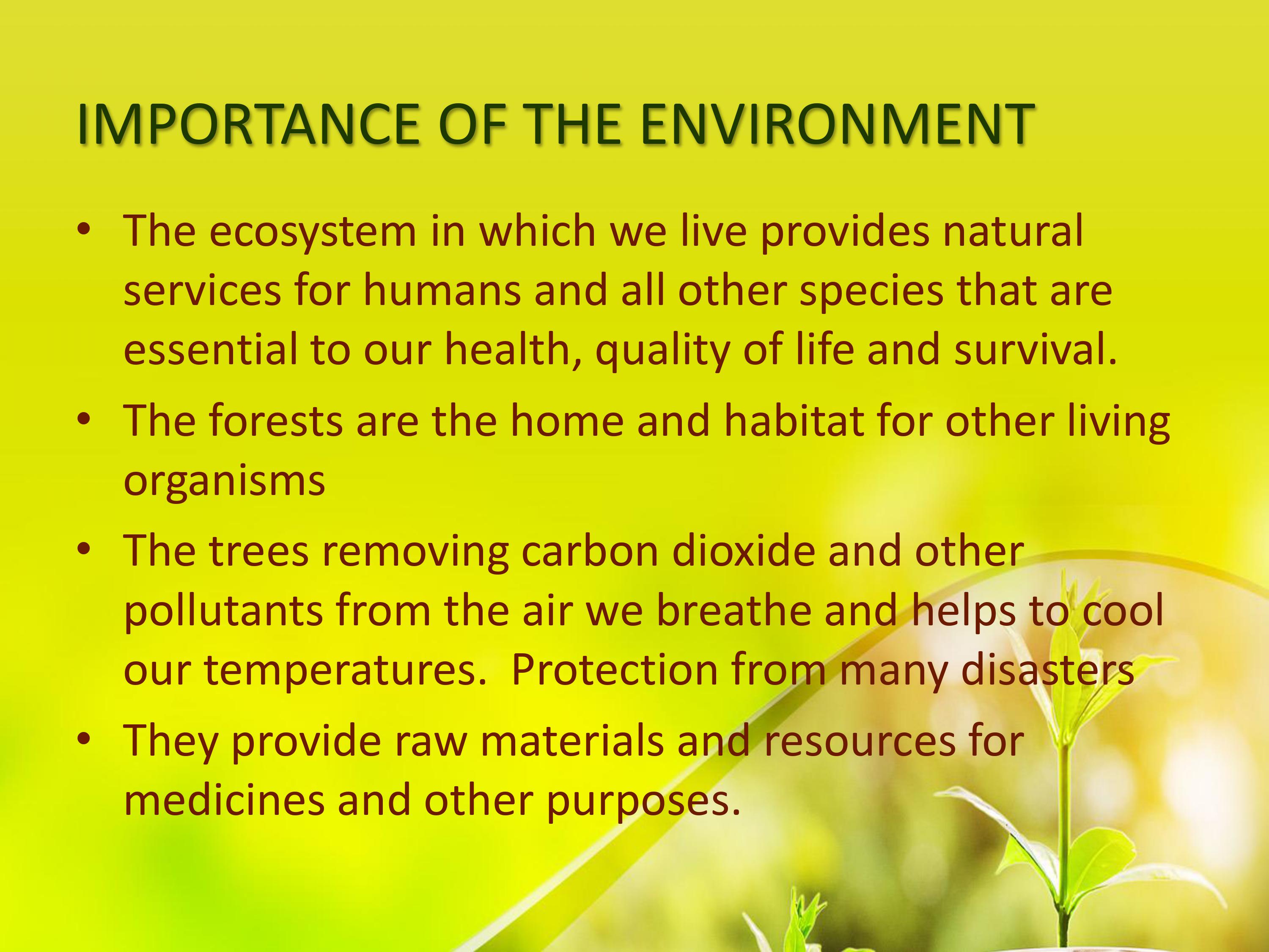 Make a reflection paper about the Environmental