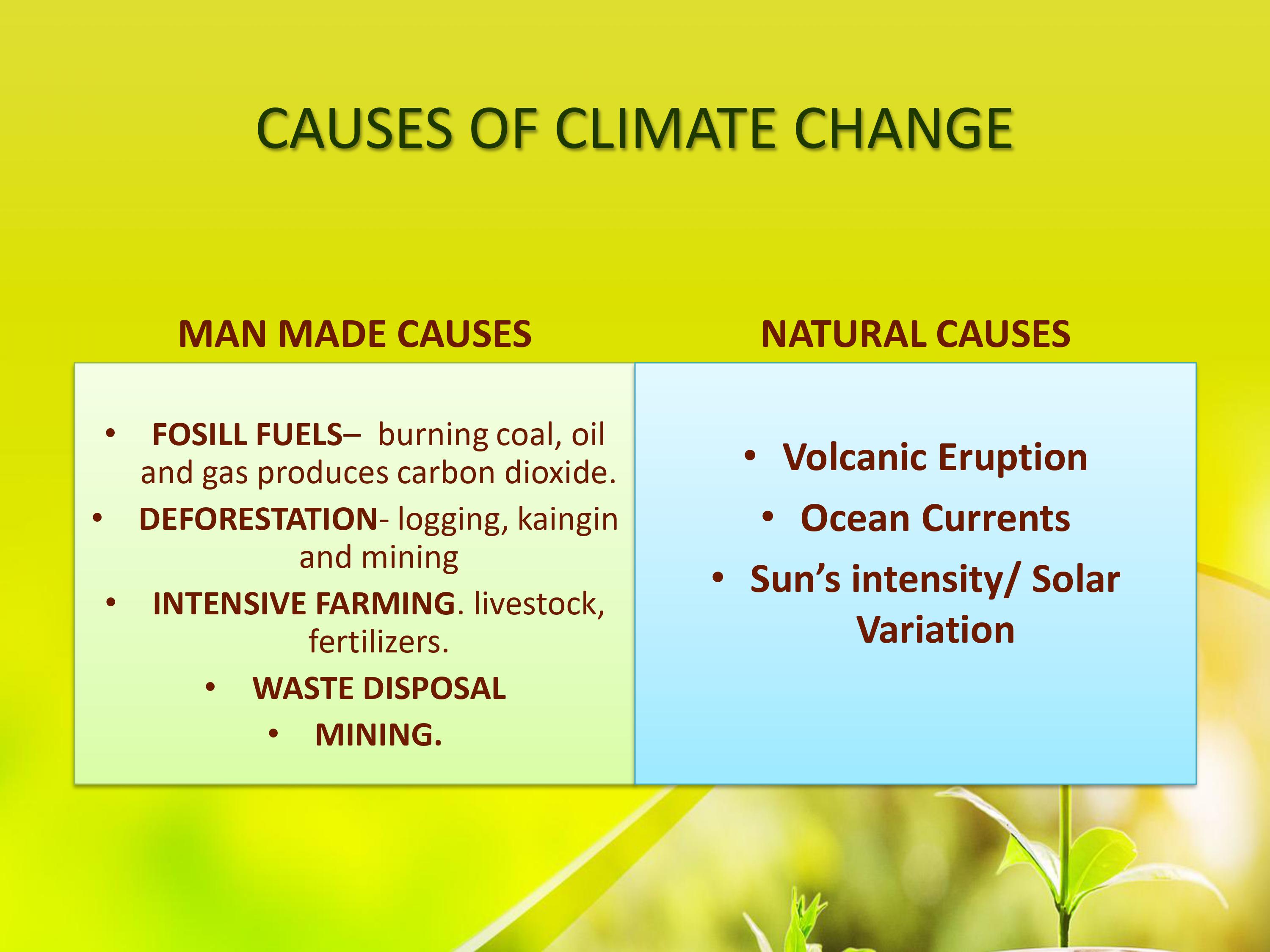 Make a reflection paper about the Environmental