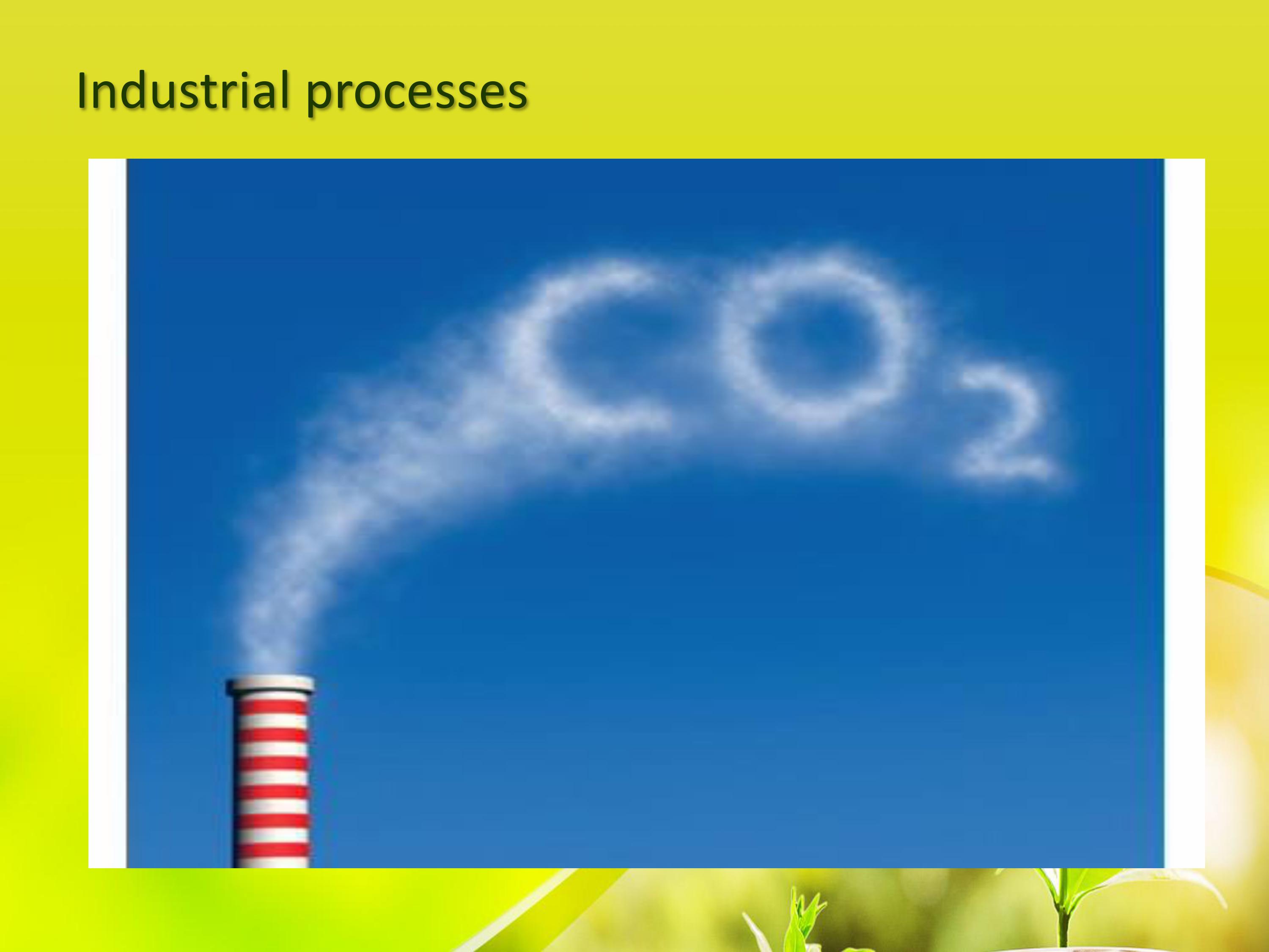 Make a reflection paper about the Environmental