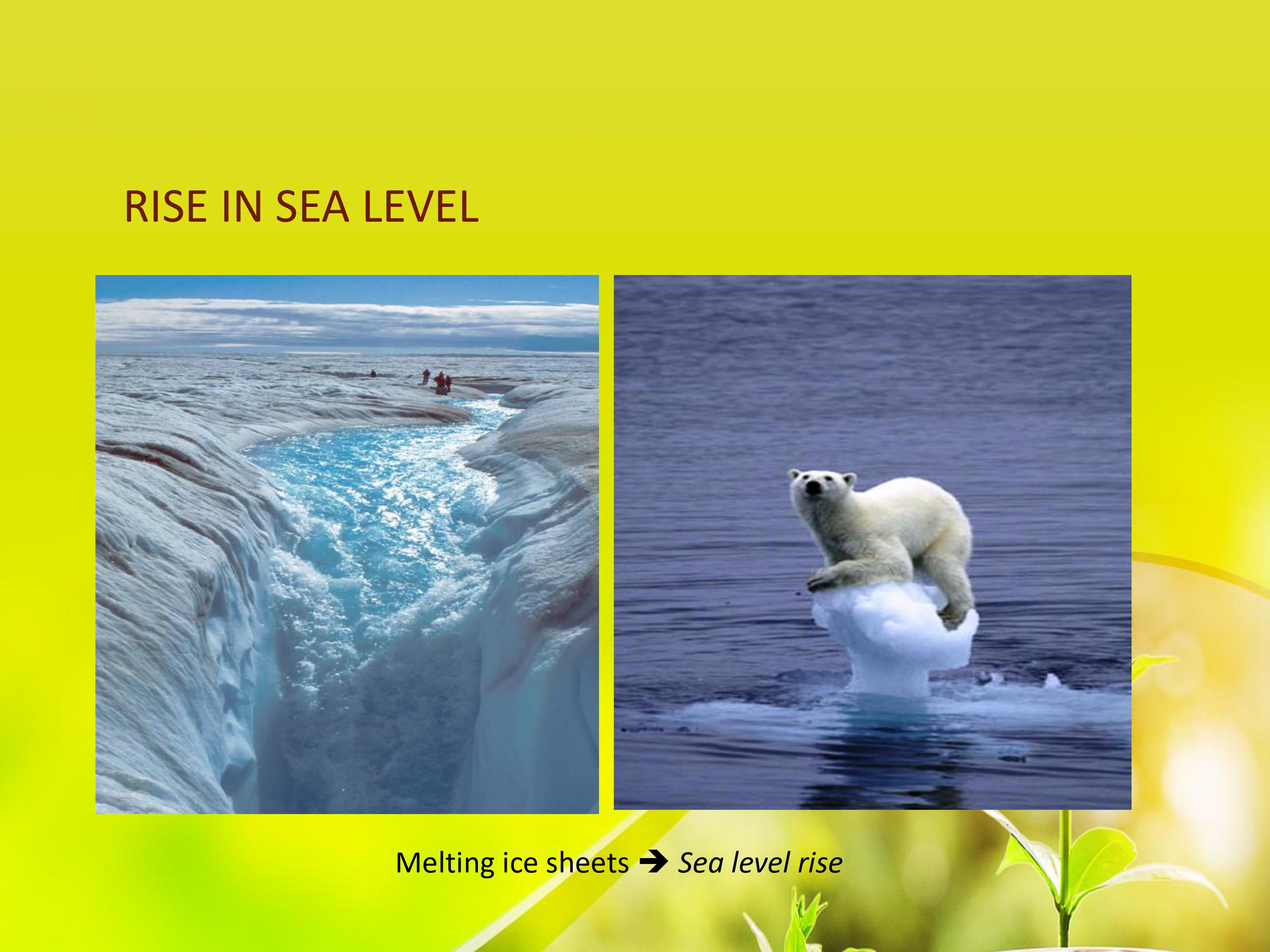 Make a reflection paper about the Environmental