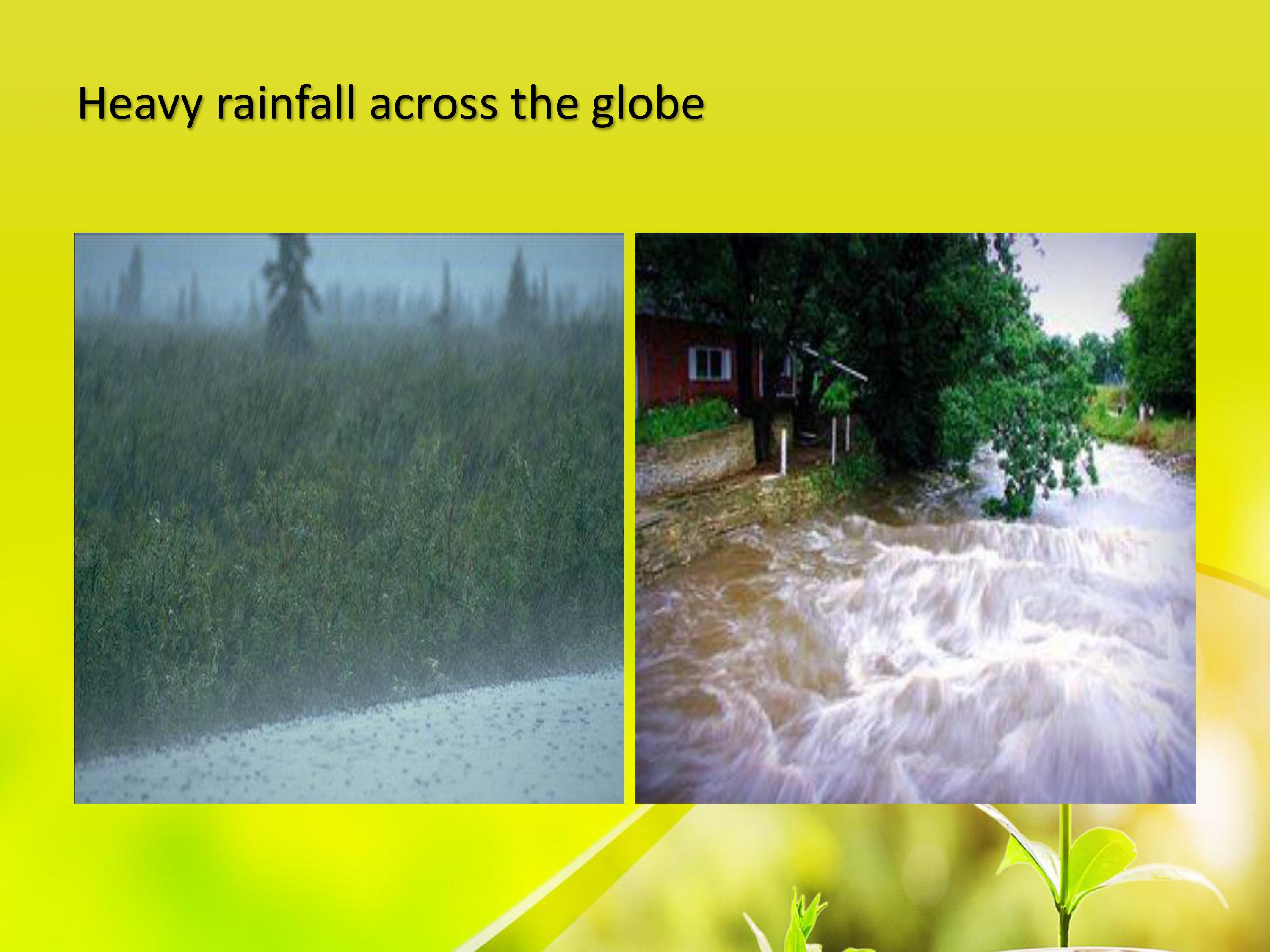 Make a reflection paper about the Environmental