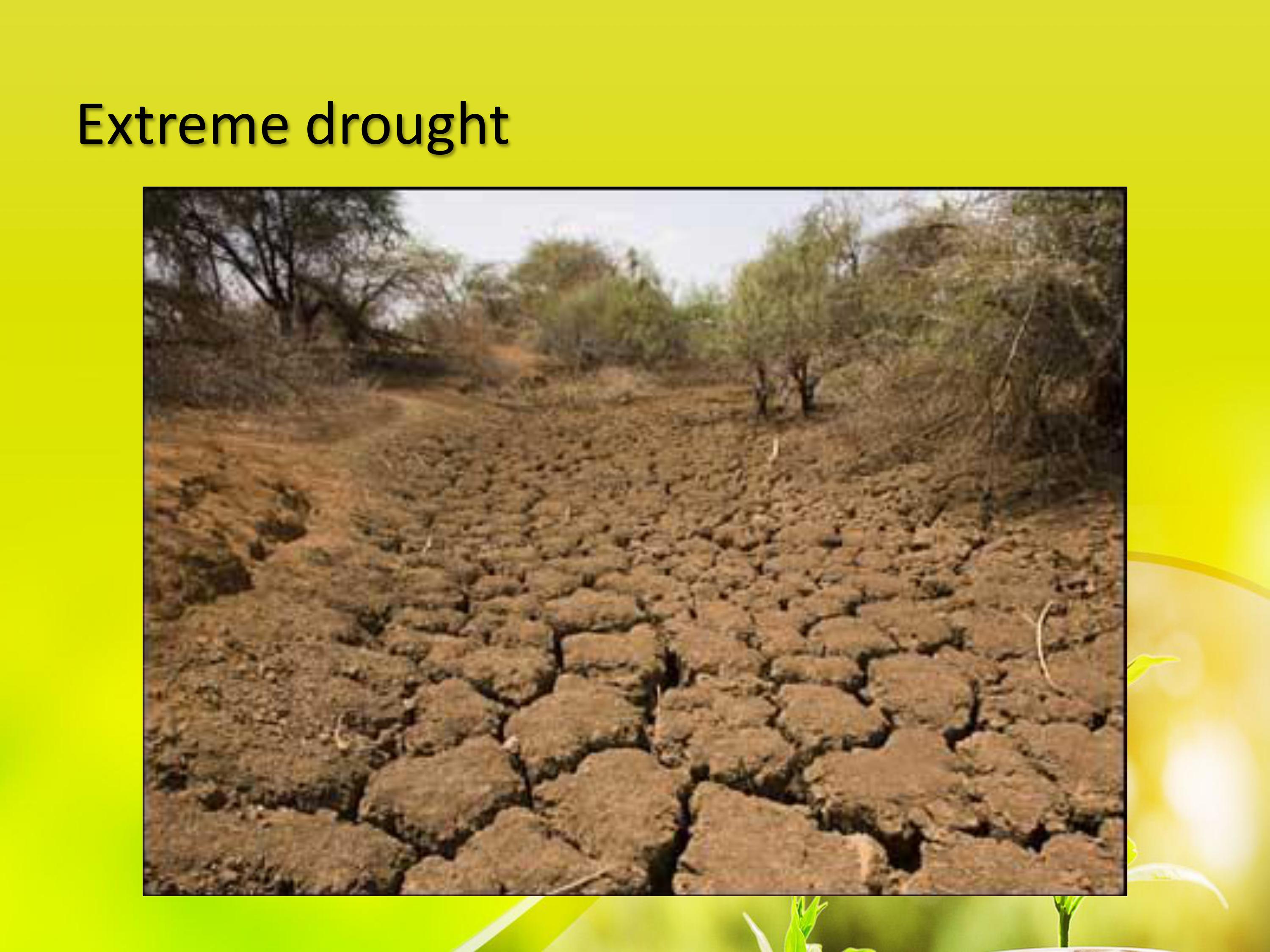 Make a reflection paper about the Environmental