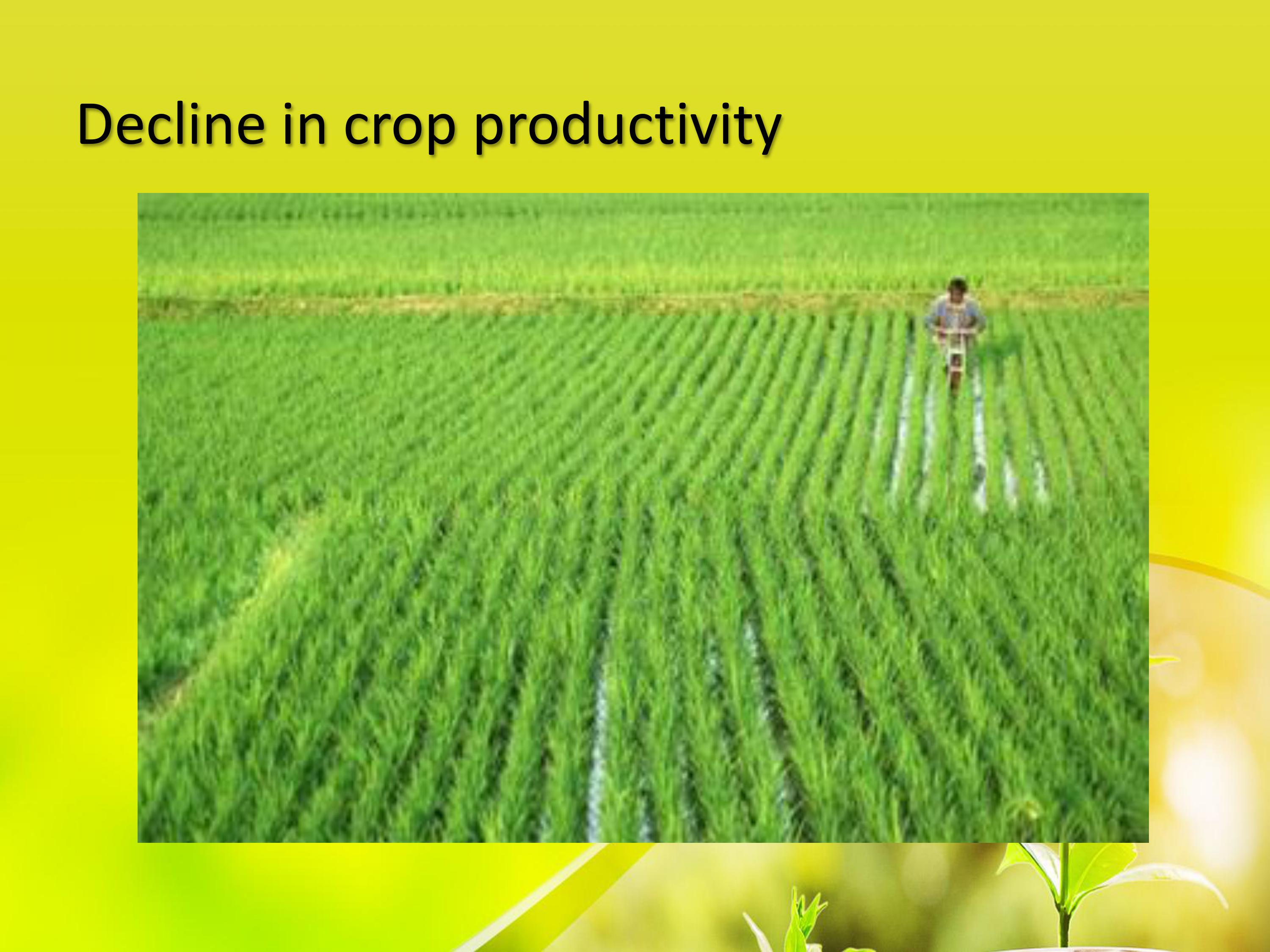 Make a reflection paper about the Environmental