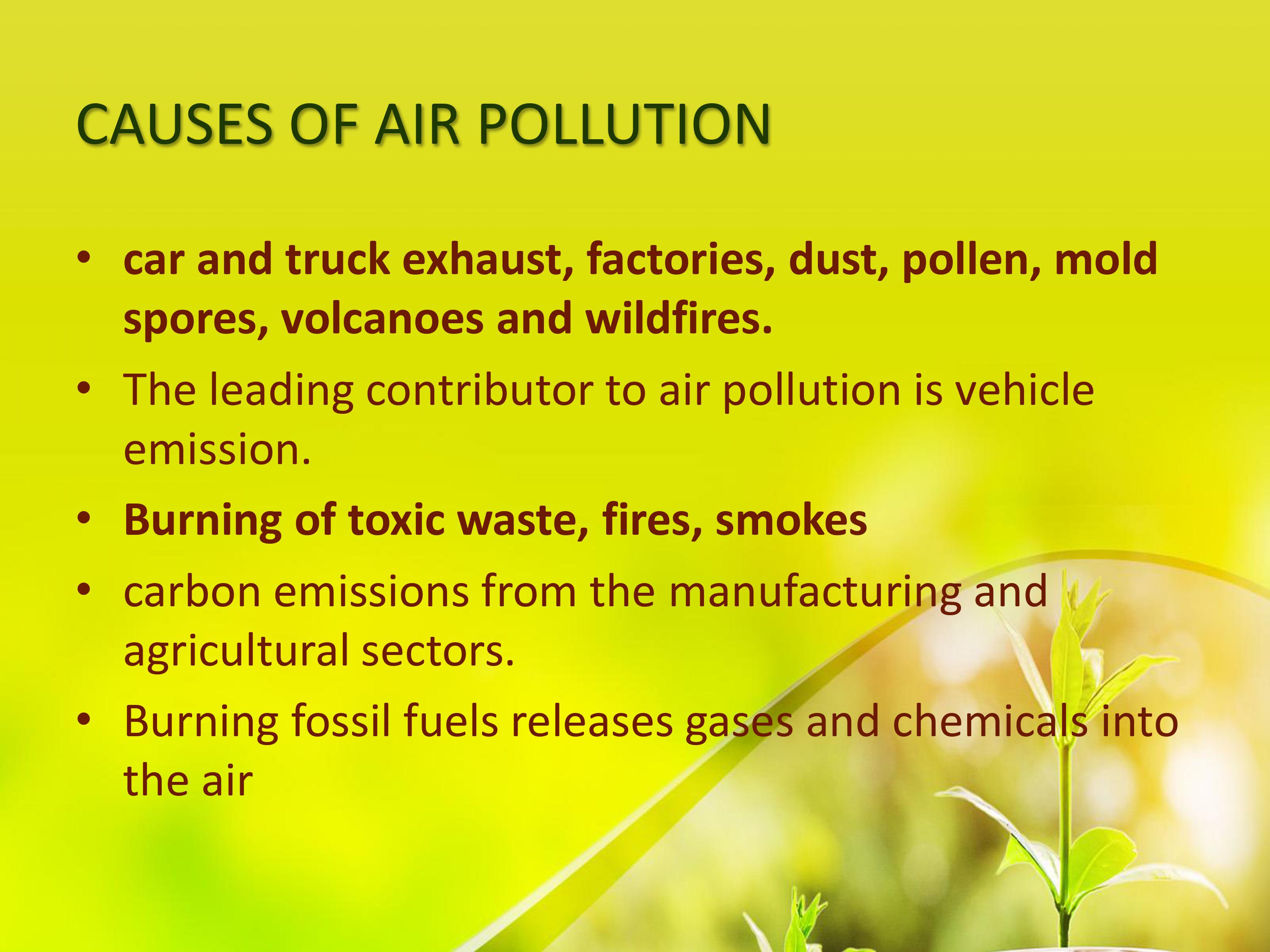 Make a reflection paper about the Environmental