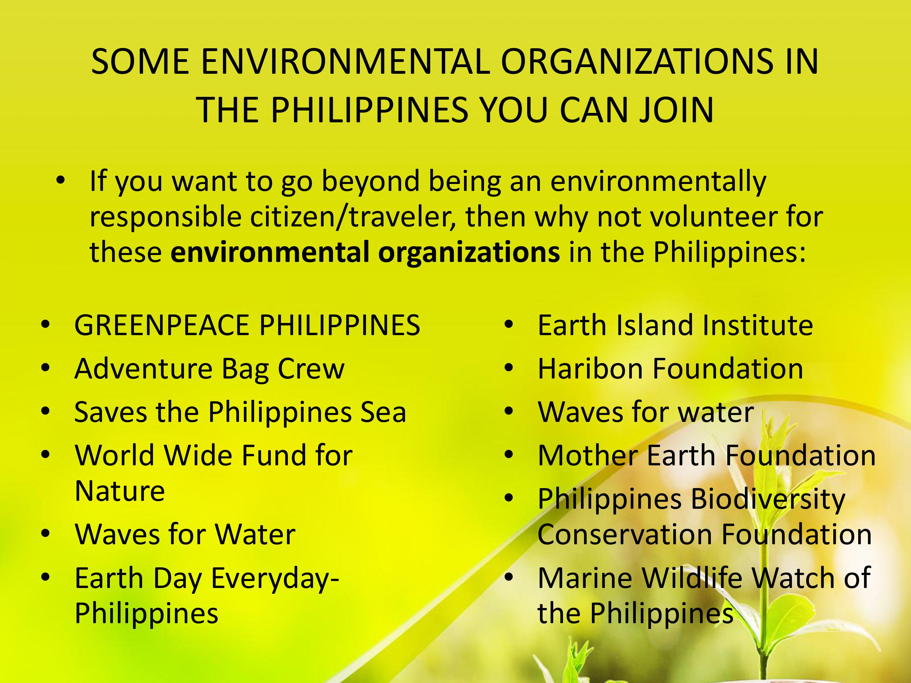 Make a reflection paper about the Environmental