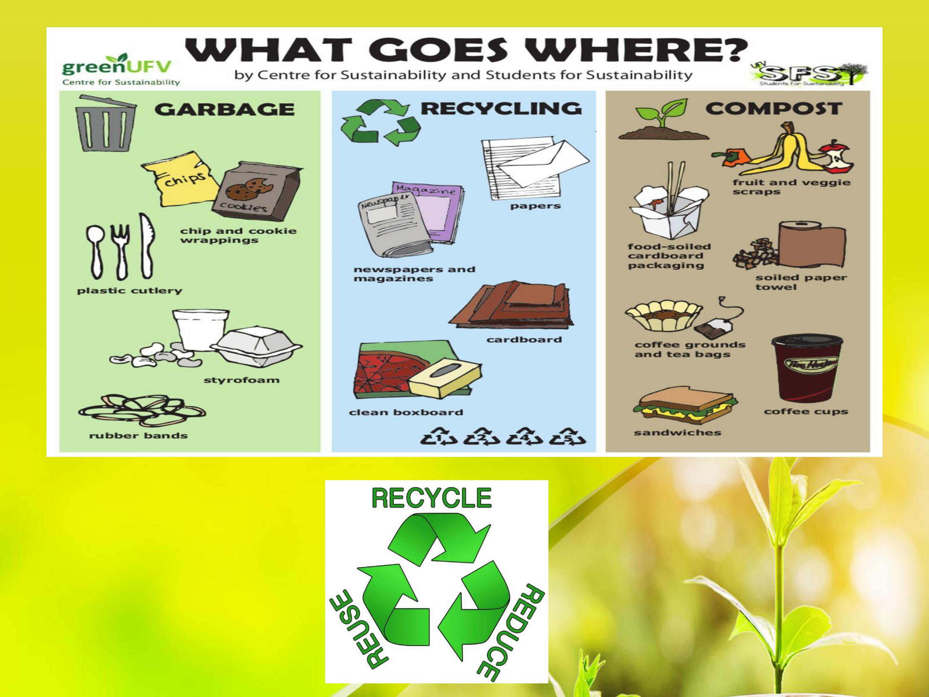 Make a reflection paper about the Environmental