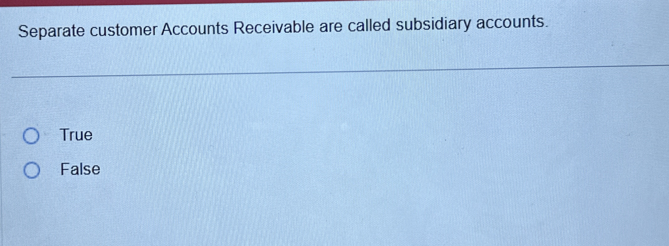 Separate customer Accounts Receivable are called