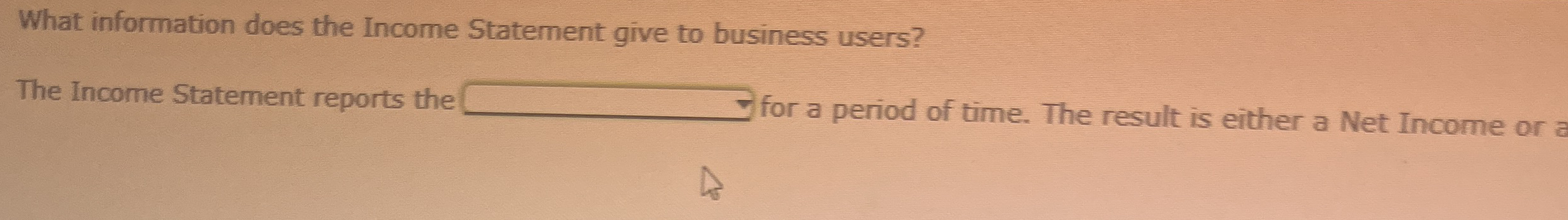 What information does the Income Statement give