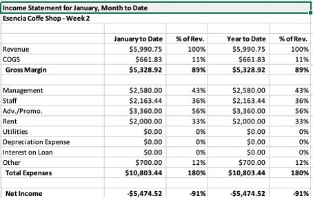 Income Statement for January, Month to Date