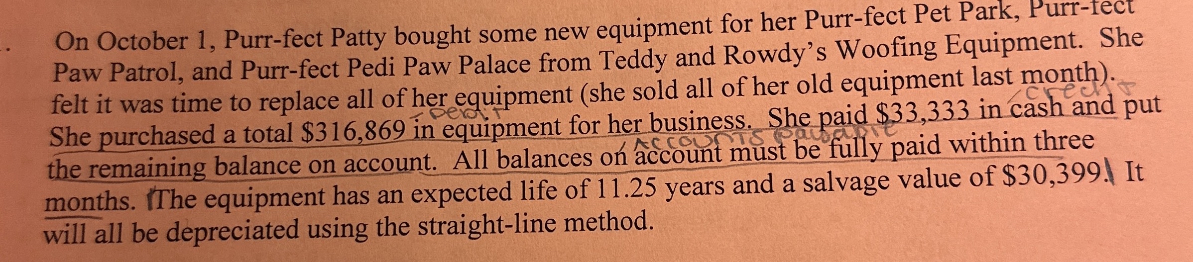 On October 1 , Purr - fect Patty bought some new