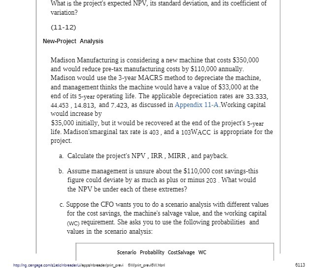 What is the project's expected NPV, its
