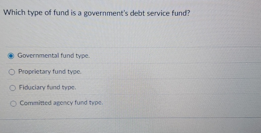 Which type of fund is a government's debt service