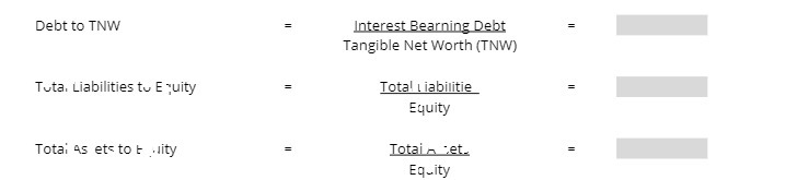 Debt to TNW Interest Bearning Debt Tangible Net