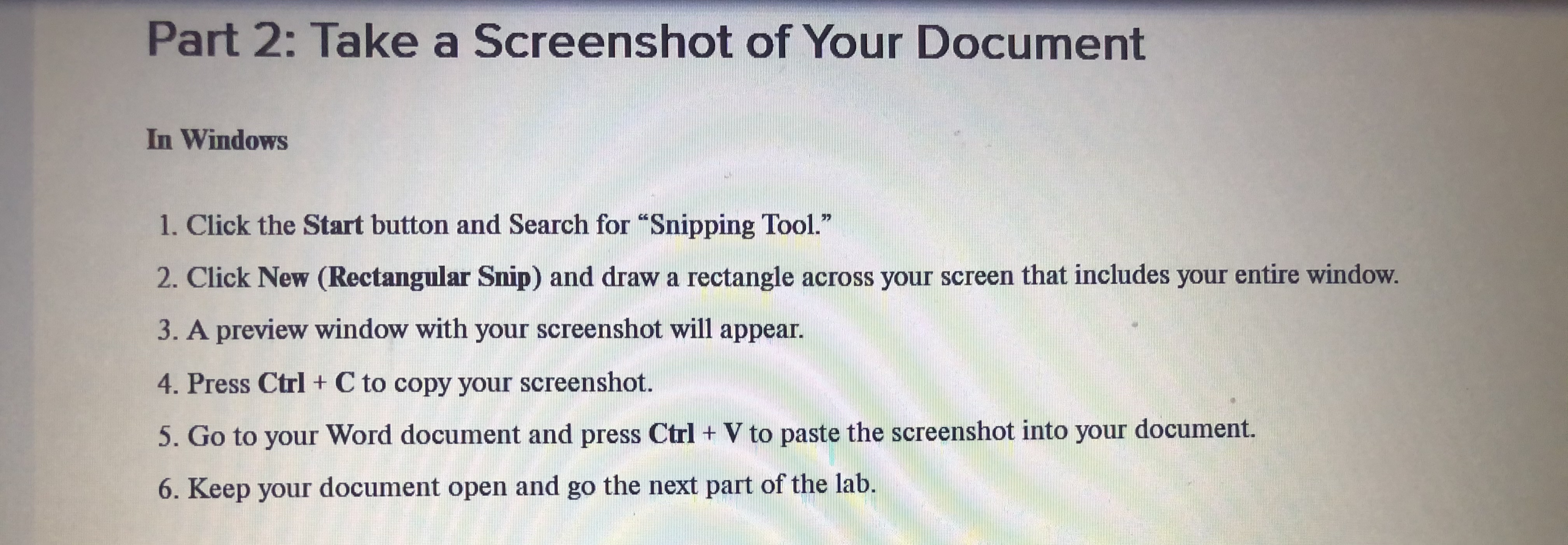 Part 2: Take a Screenshot of Your Document In