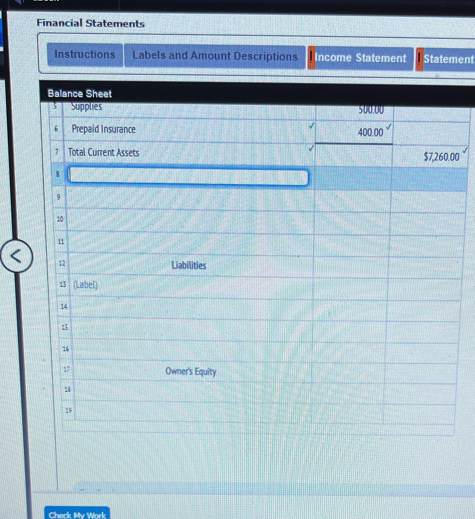 Financial Statements Instructions Labels and