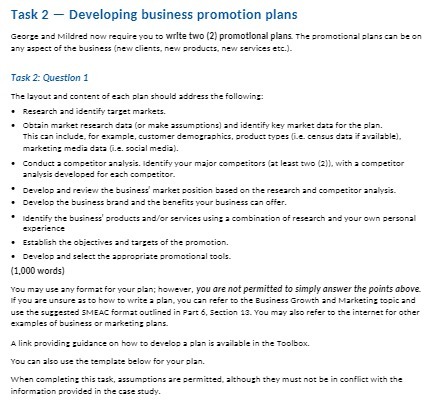 Task 2 - Developing business promotion plans