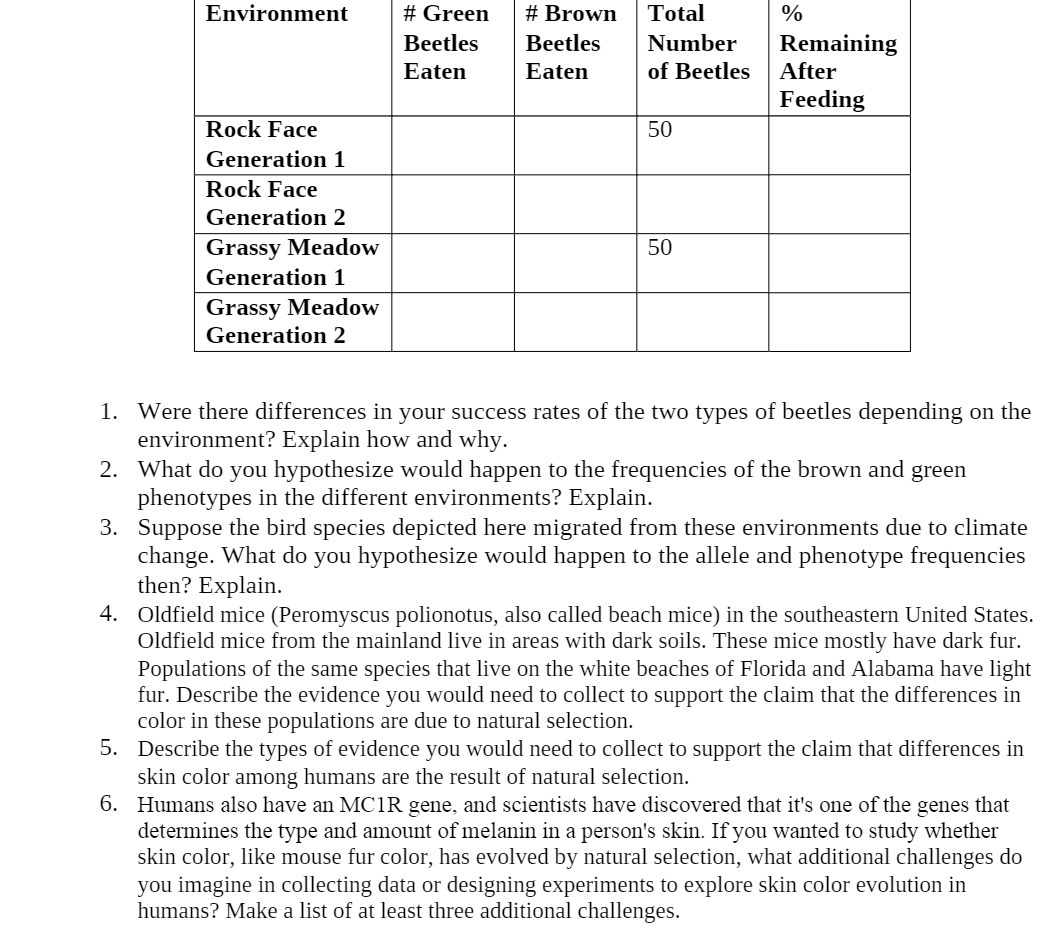 Environment #Green #Brown Total % Beetles Beetles