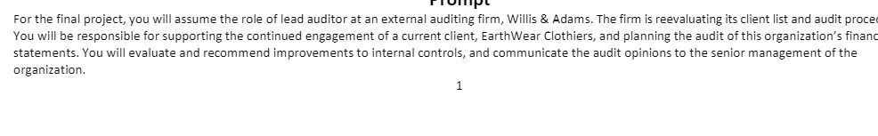 For the final project, you will assume the role