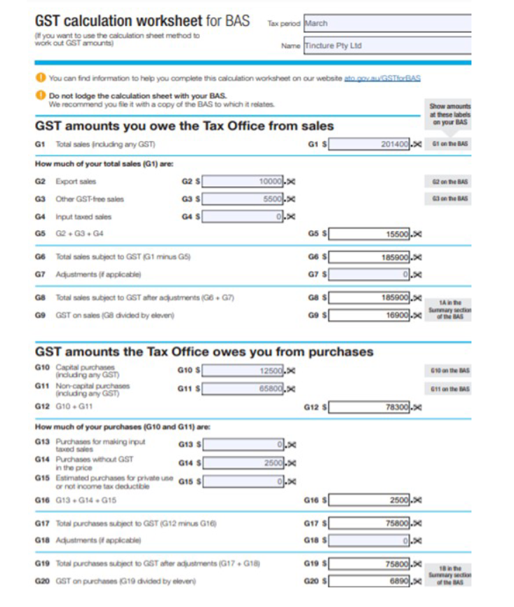 Project 1 - Overview Tincture Naturopathy You