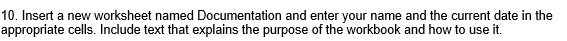 10. Insert a new worksheet named Documentation