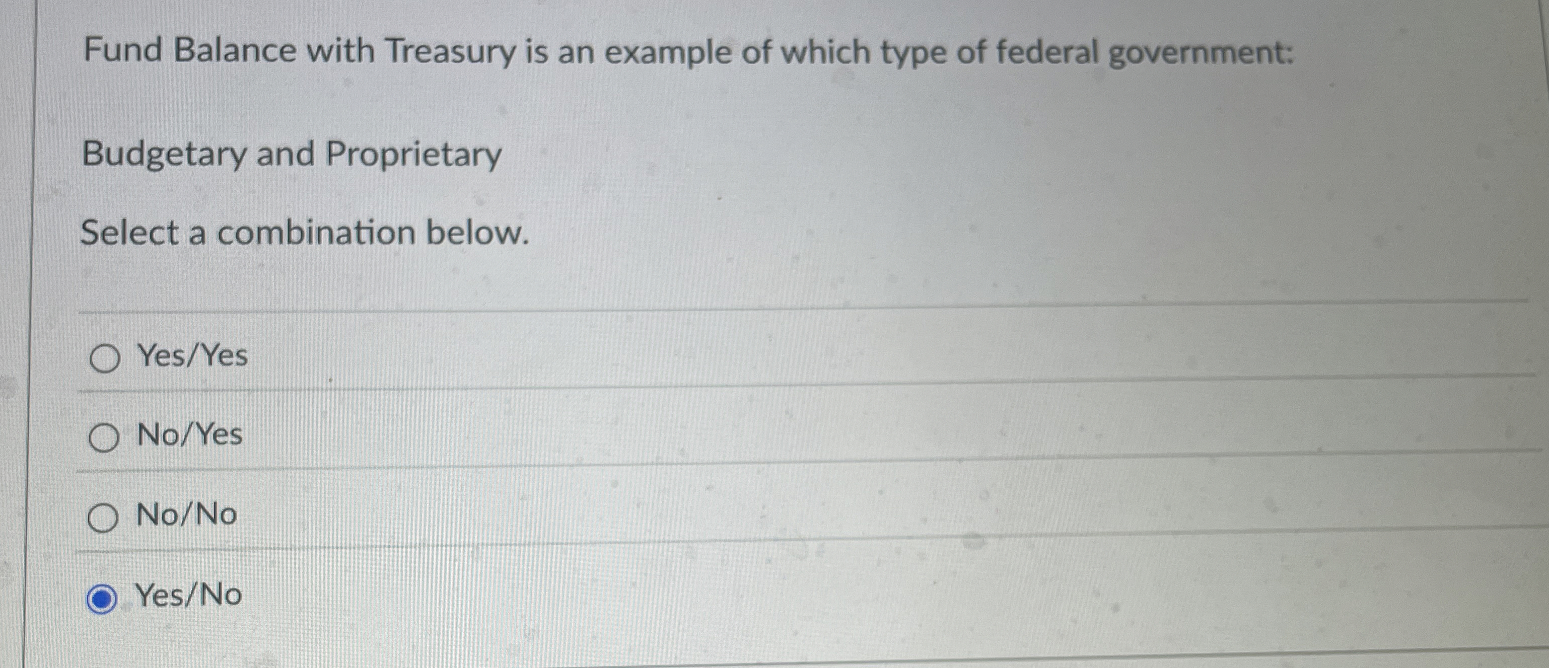 Fund Balance with Treasury is an example of which