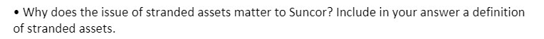 I Why does the issue at stranded assets matter to
