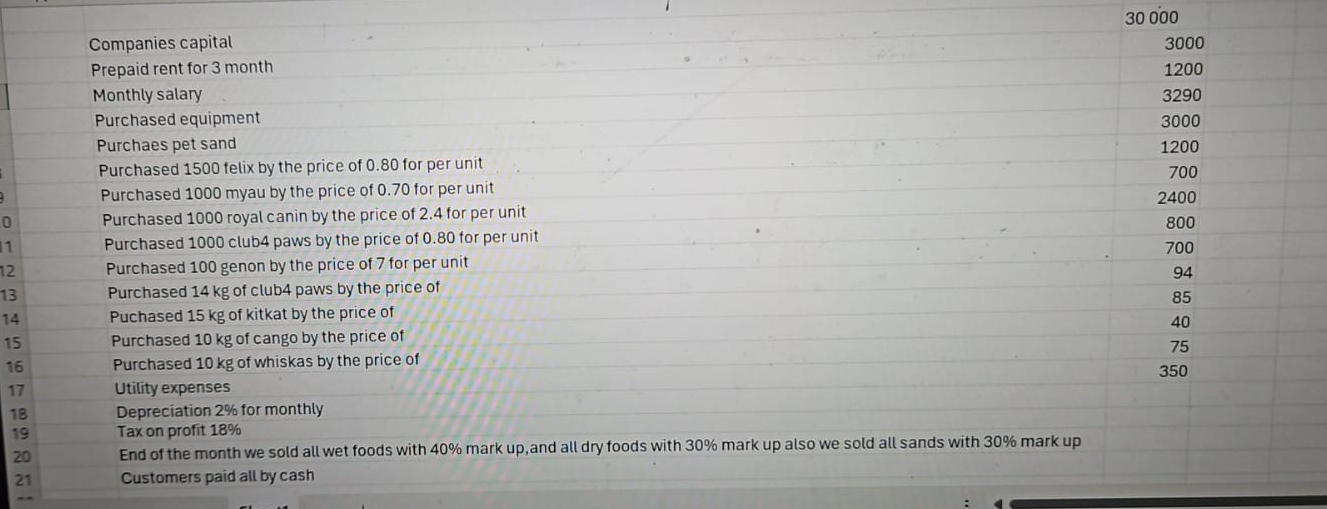 Companies capital - 3 0 0 0 0 Prepaid rent for 3