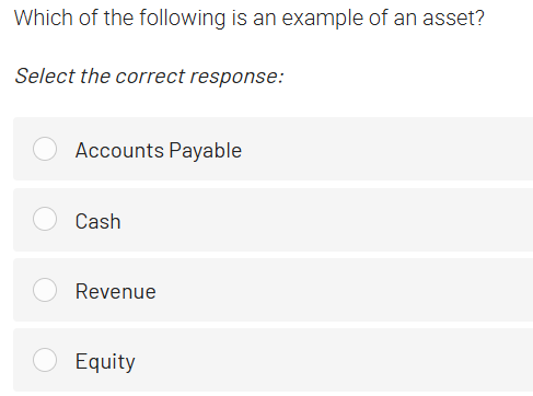 Which of the following is an example of an asset?
