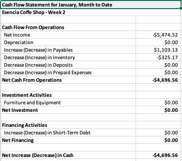 Income Statement for January, Month to Date