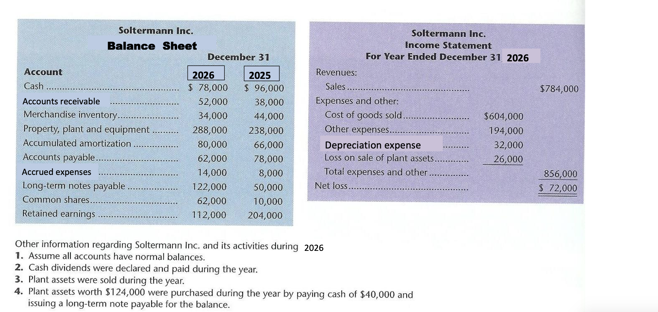 Soltermann Inc. Income Statement For Year Ended