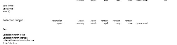 Sales (Units] Seling Price Collection Budget