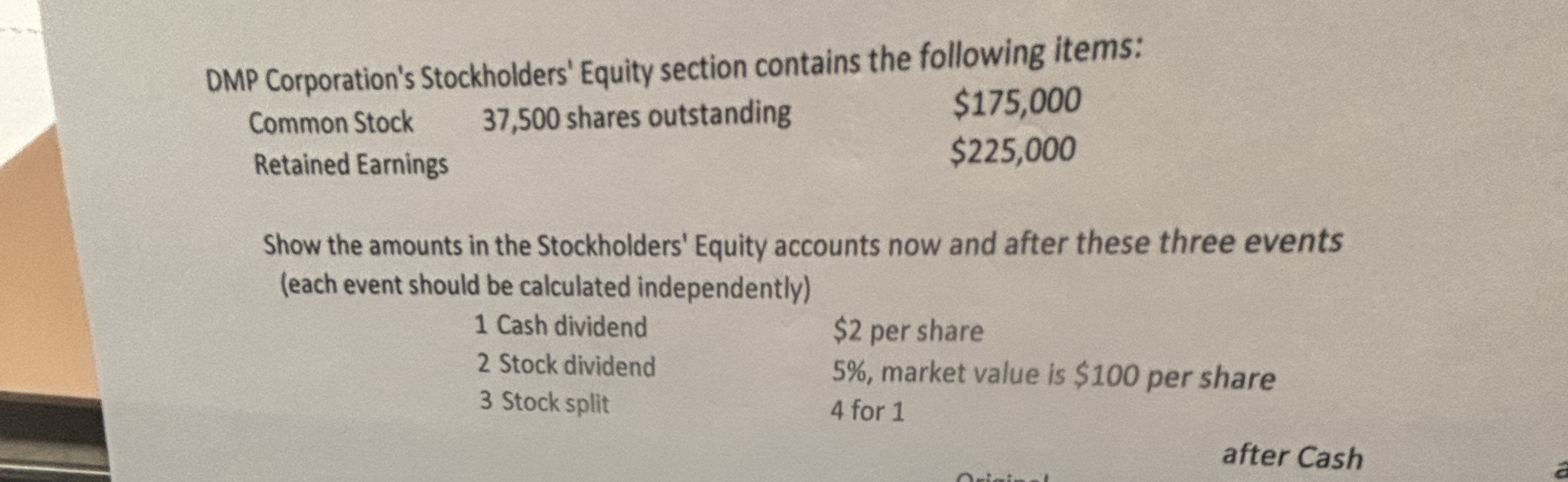 DMP Corporation's Stockholders' Equity section