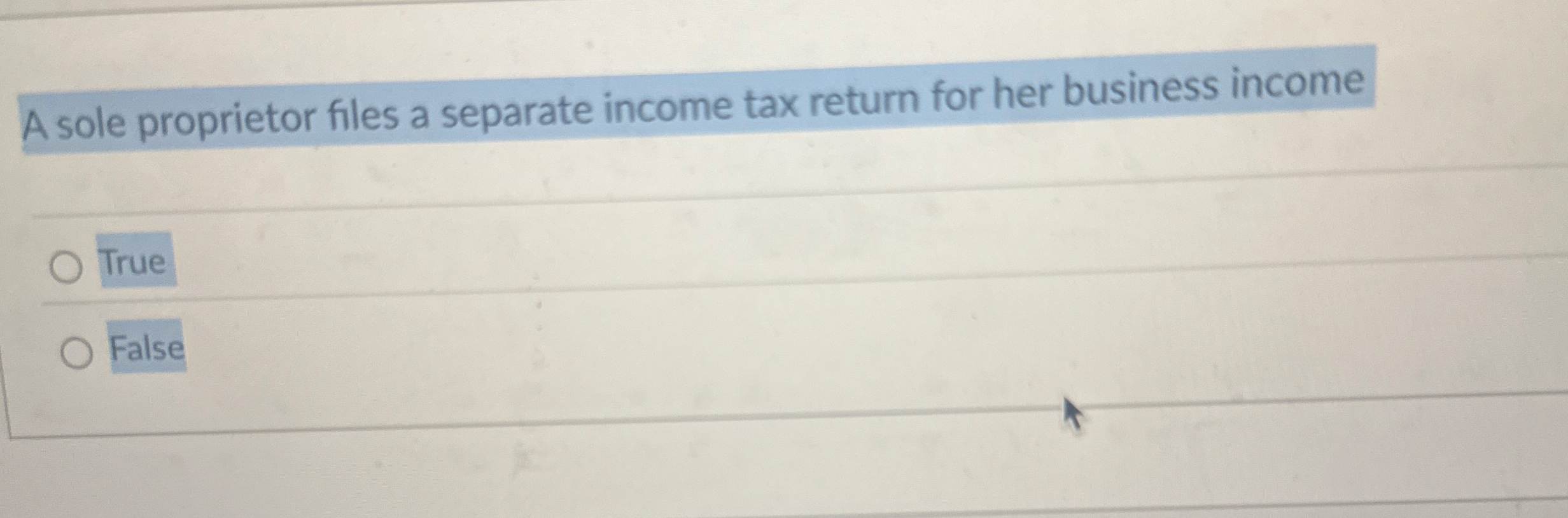 A sole proprietor files a separate income tax