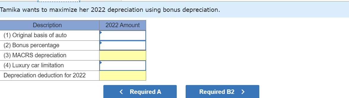 \fTamika Meer purchased a new car for use in her