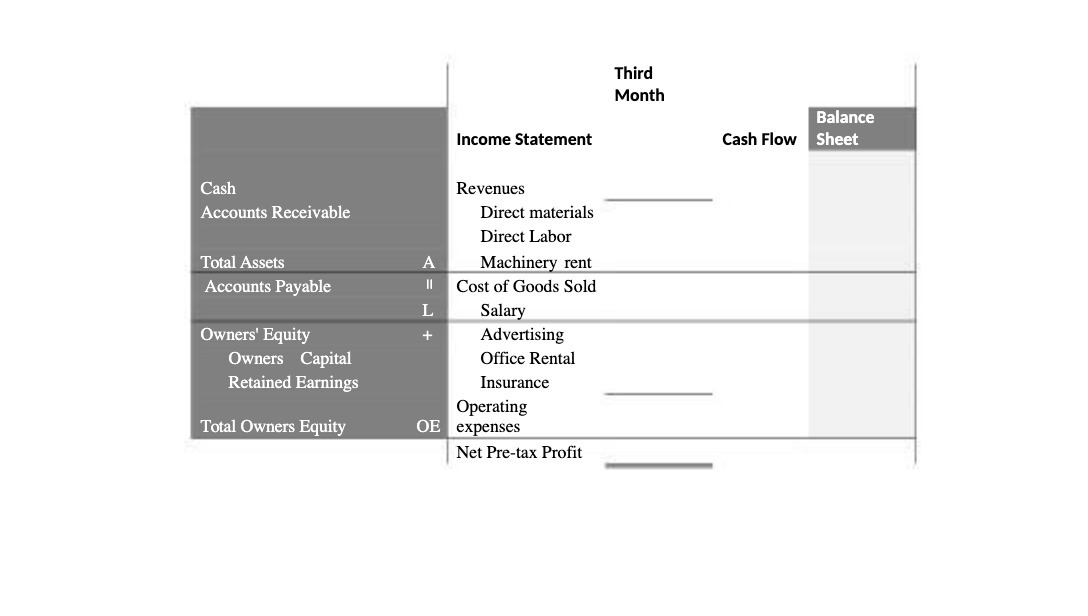 Third Month Balance Income Statement Cash Flow