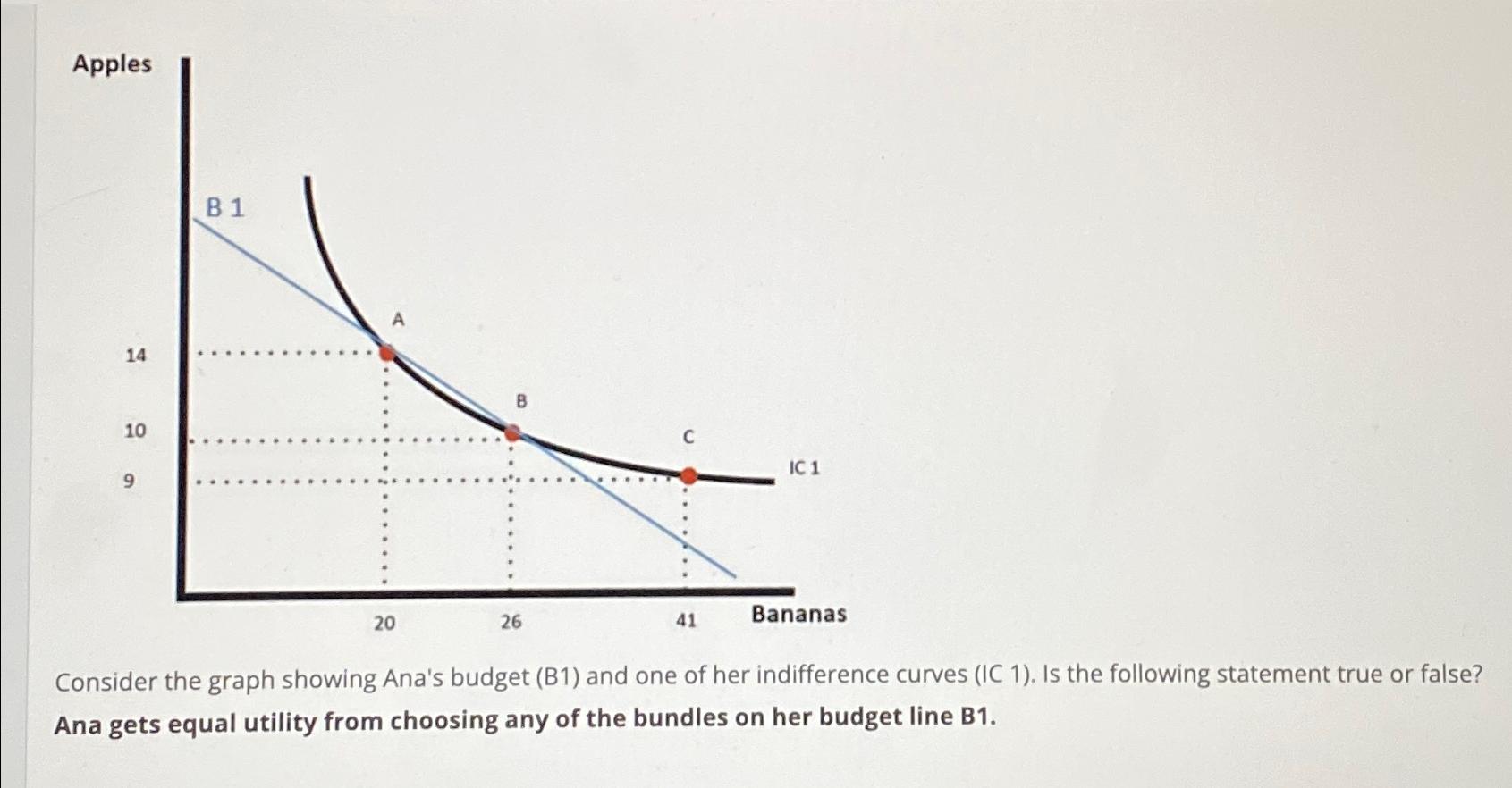 Consider the graph showing Ana's budget ( B 1 )