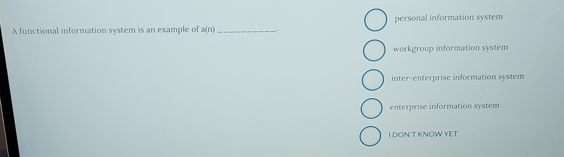 A functional information system is an example of