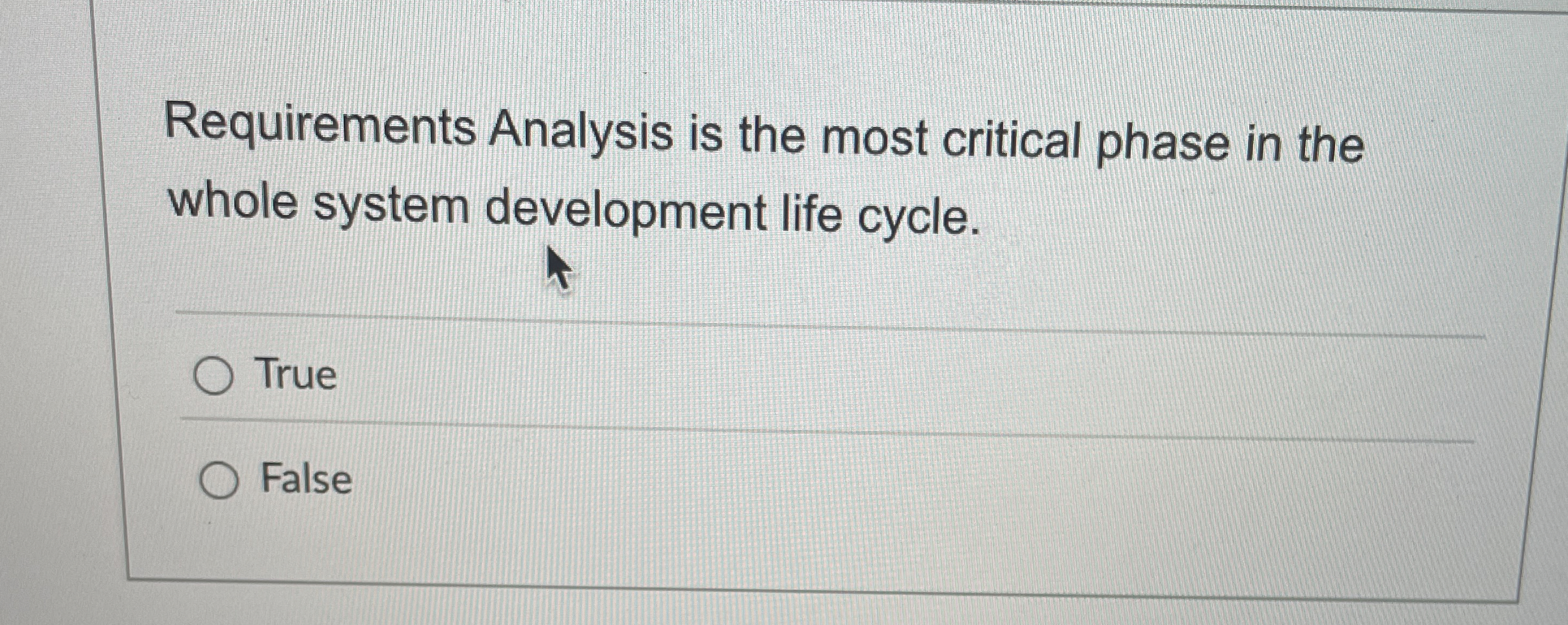 Requirements Analysis is the most critical phase