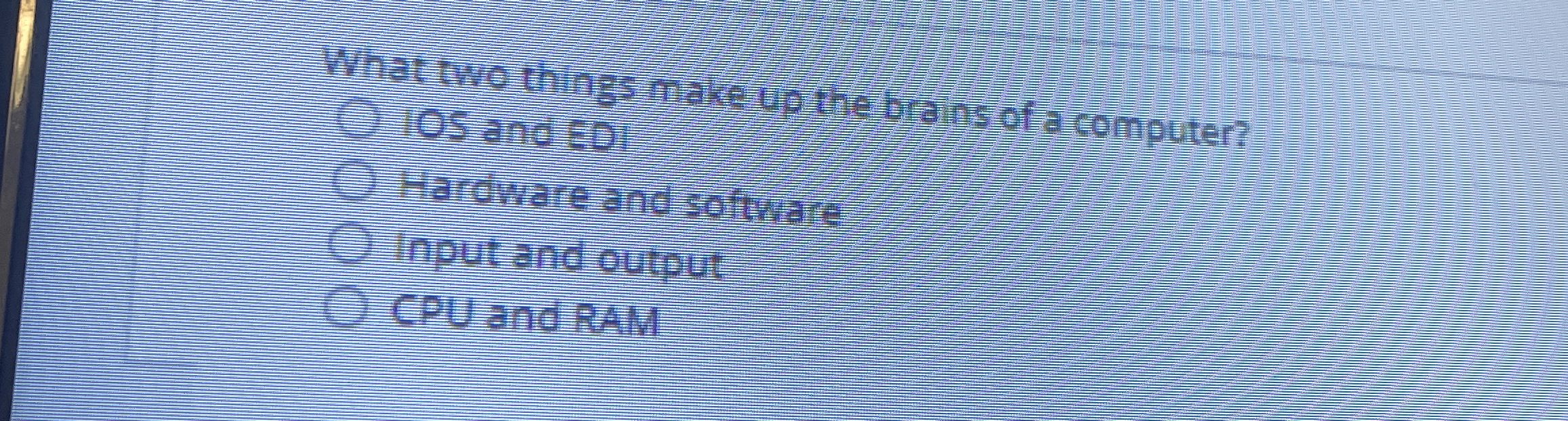 What two things make up the brains of a computer?