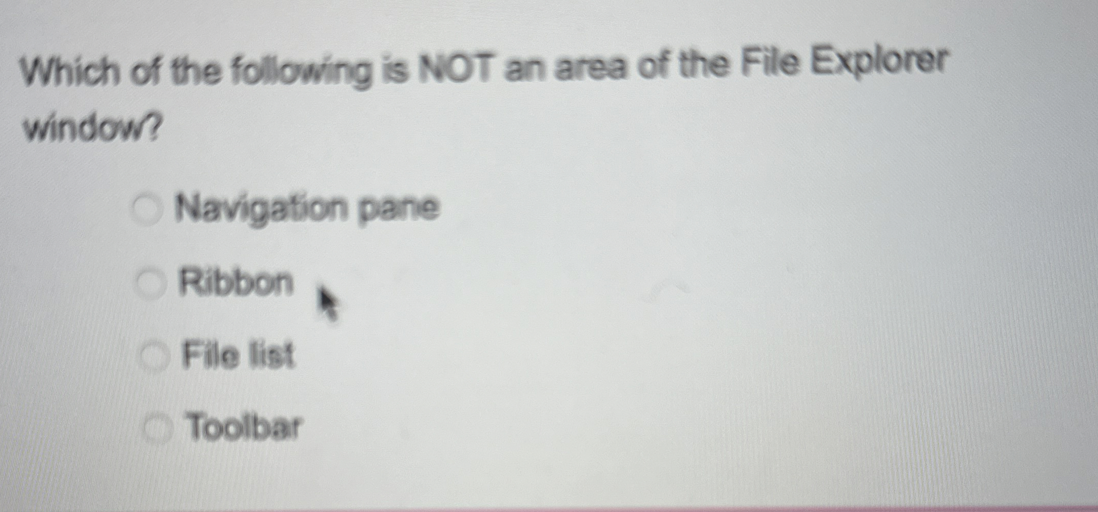 Which of the following is NOT an area of the File