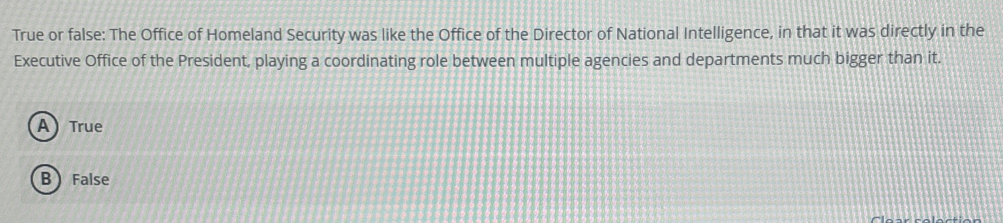 True or false: The Office of Homeland Security
