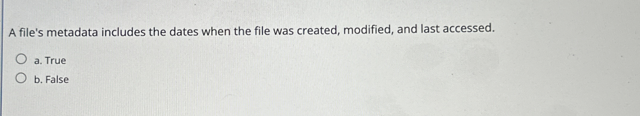 A file's metadata includes the dates when the