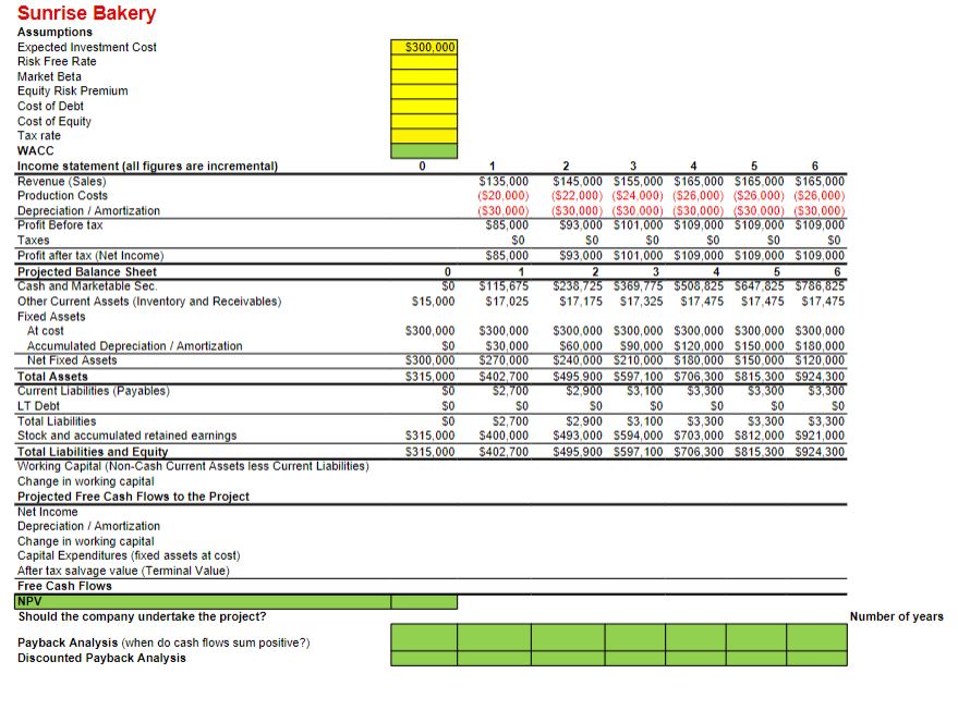 complete the excel sheet what is the npv, payback