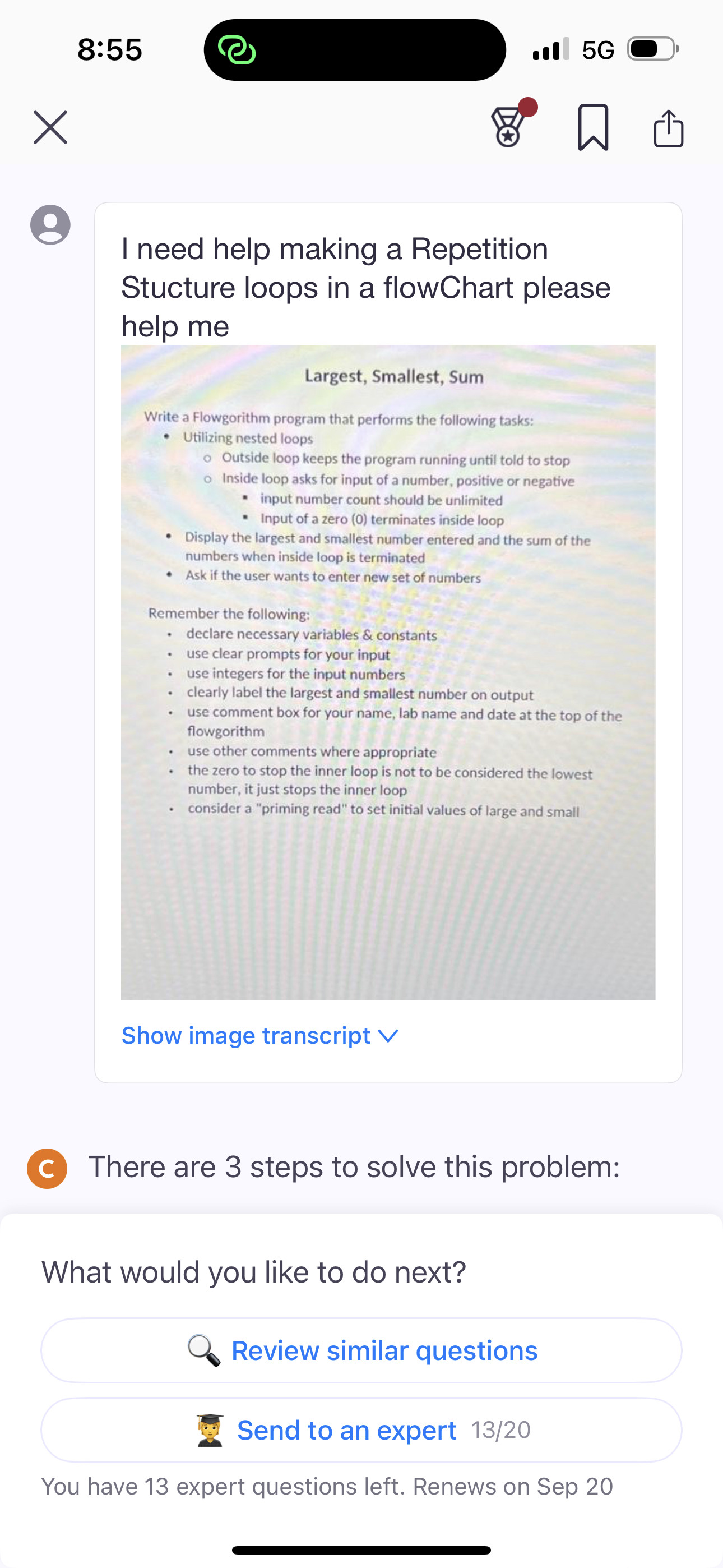 Stucture loops in a flowChart please help me